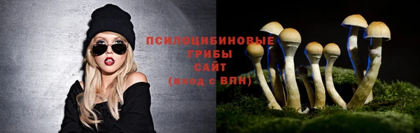 кокаин перу Горняк