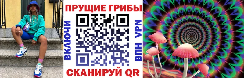 Купить закладки  Солигалич  Псилоцибиновые грибы GOLDEN TEACHER 